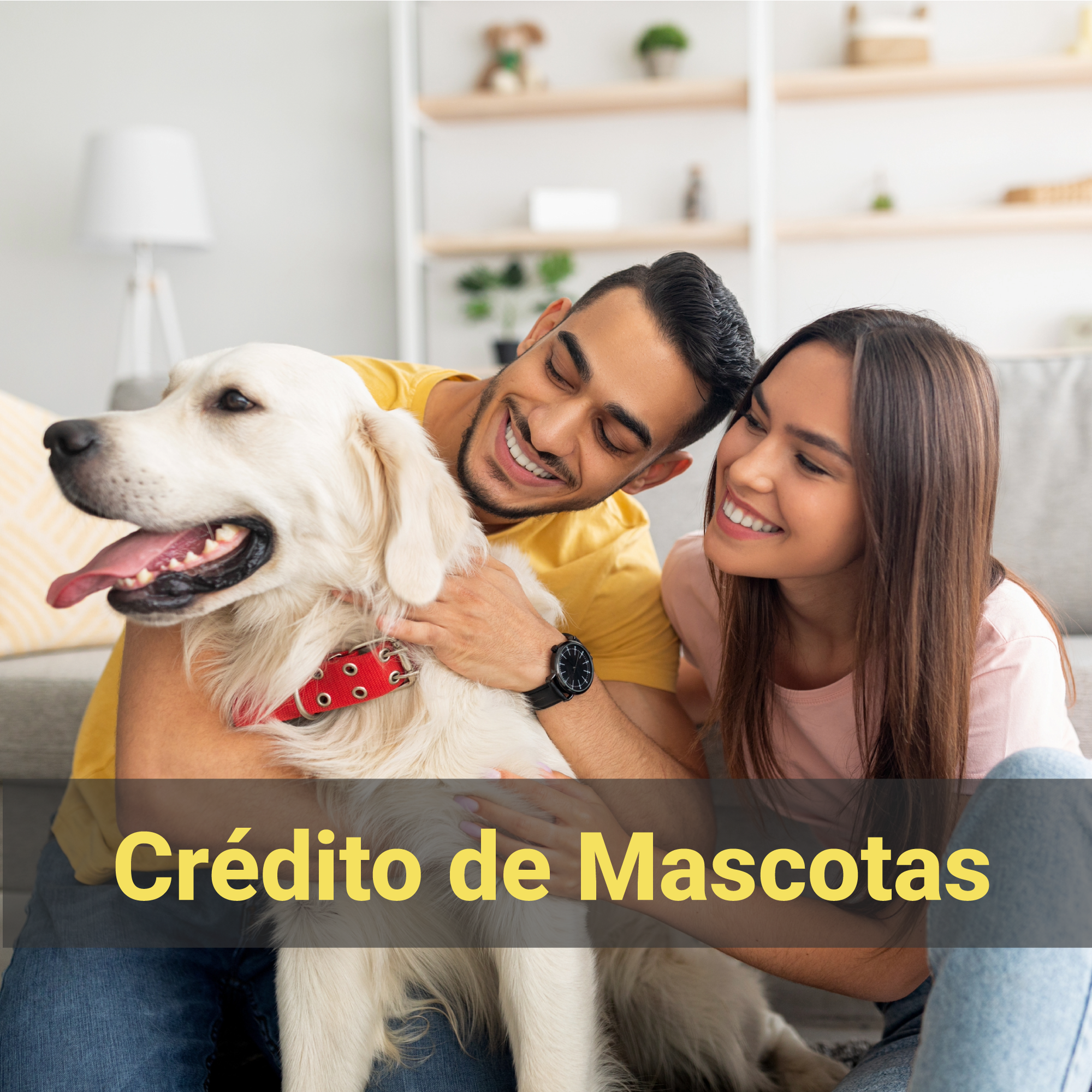 Crédito de Mascotas